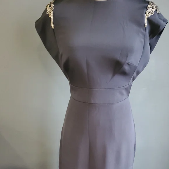 Theia 100% Silk Formal   Blue Cap Sleeve Crew Neck Gown Sz 2 - Picture 5 of 17